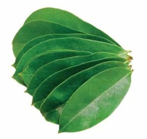 Graviola (Leaf)